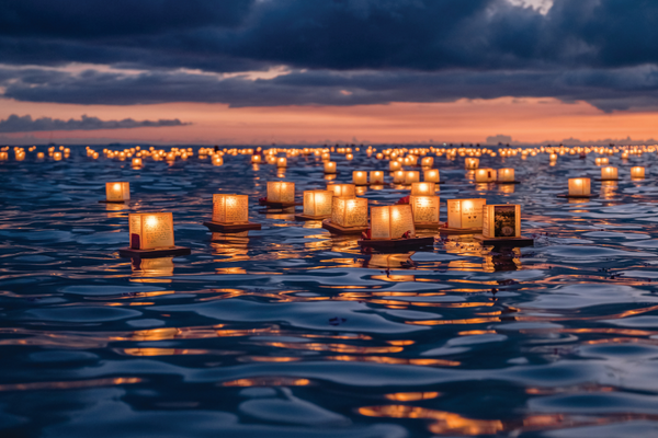 Beauty Adrift