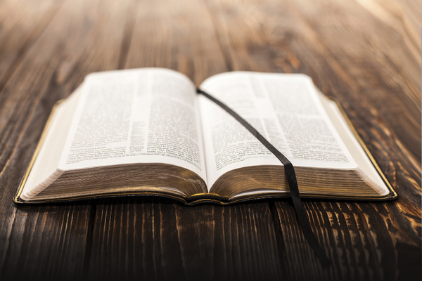 Reading the Genesis creation account