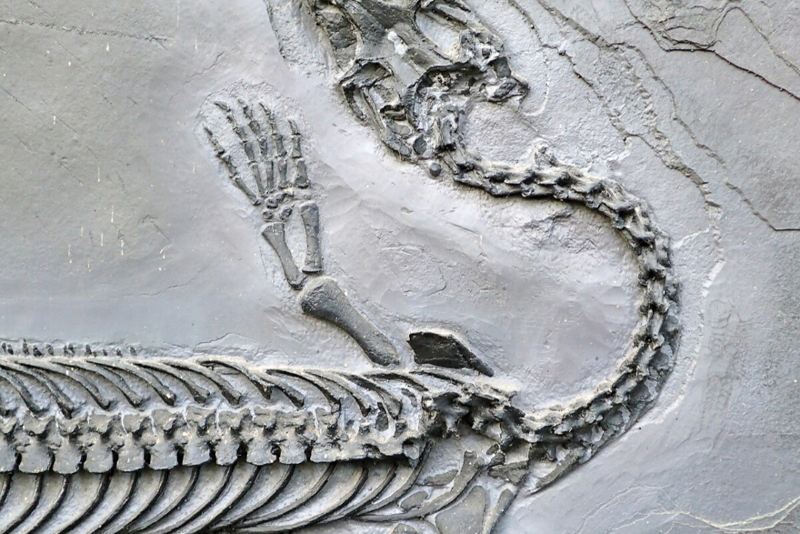 Young Earth Creationism: Relating text and evidence