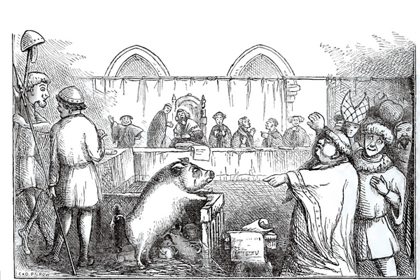 Animal Trials