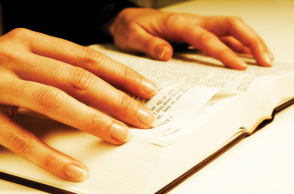 Book Review: The Early Text of the New Testament