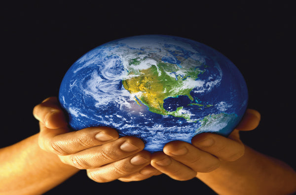 The Role and Limits of Science in Moral Reasoning