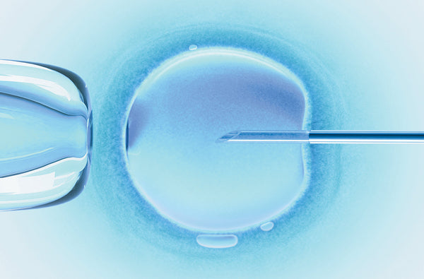 Embryo Liberation