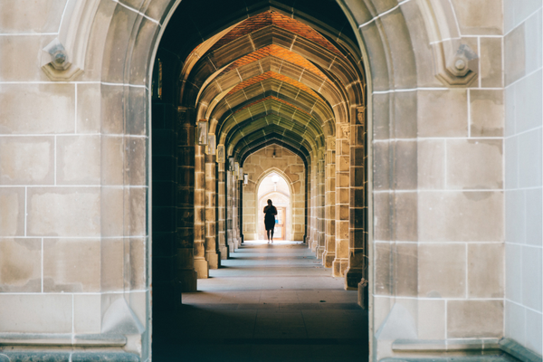 What is a university for?