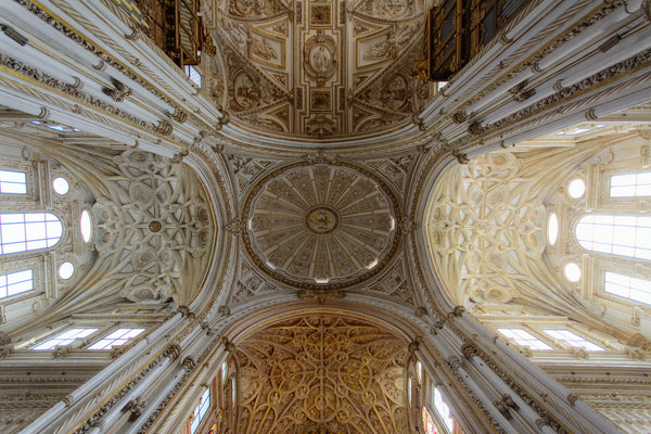 Theology & the Future of the Church