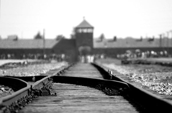 Book Review: Christian Violence? | Byron Smith