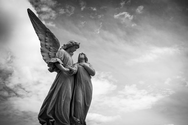 Book Review: Humanity: Ape or Angel?