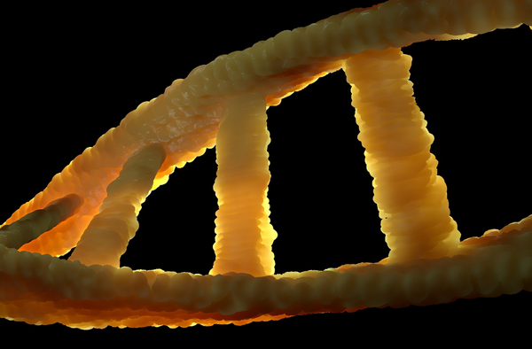 Is Genetics Changing What it Means to be Human?