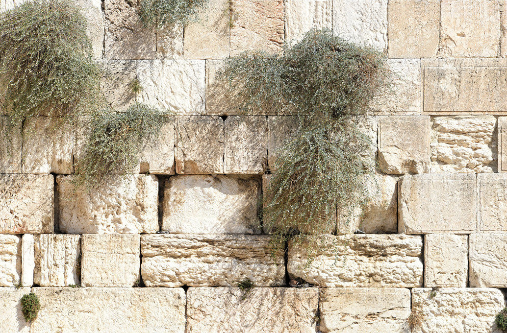 Book Review: Engaging Rome & Jerusalem