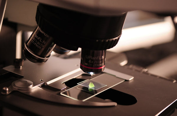 Book Review: The Faith of Scientists In Their Own Words