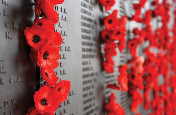 Lest we remember, lest we forget