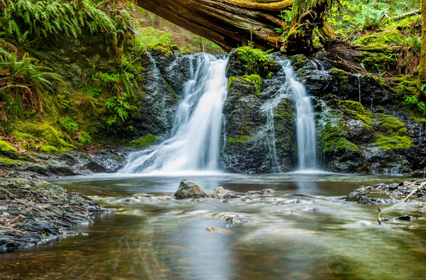 Whose garden is it? The water crisis in biblical perspective