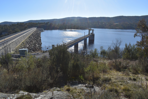 Of dams and fish | William L. Peirson