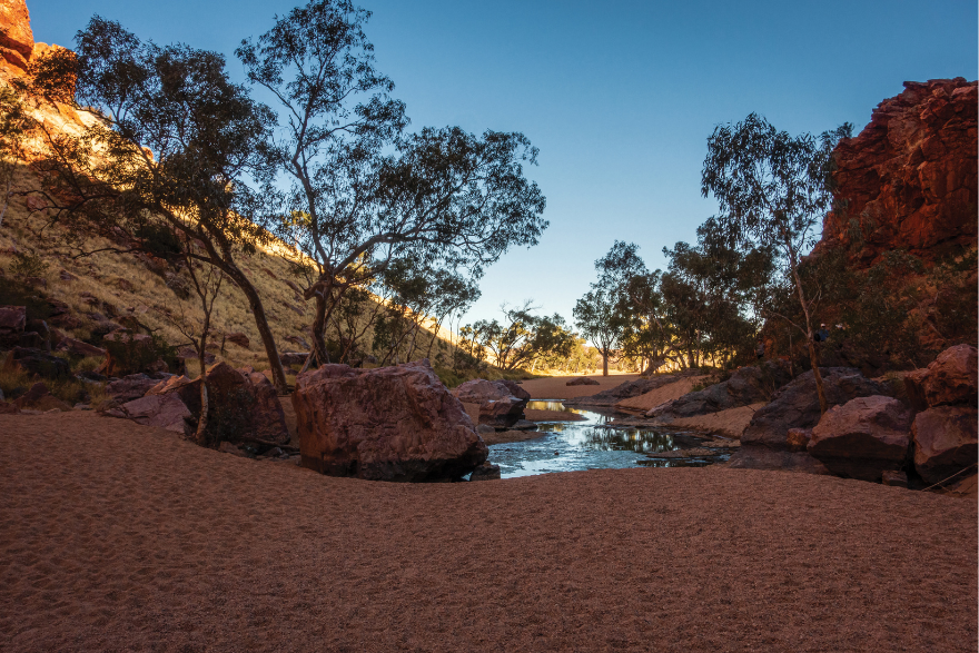 Dreamtime and Nightmare | David Moore