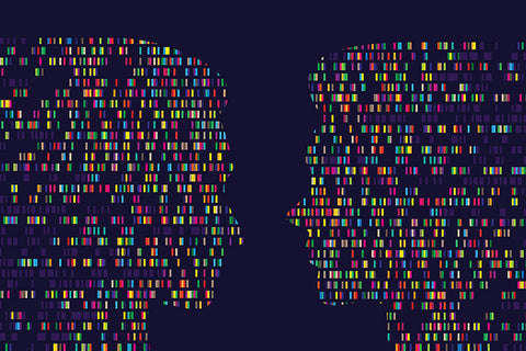 The Contested Nature of Gender and Embodiment | Andrew Sloane