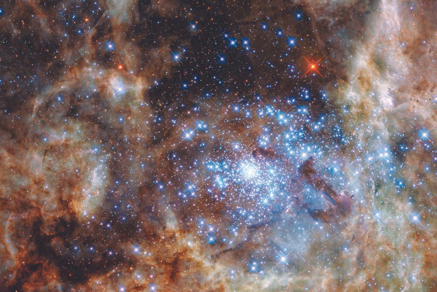 A fruitful universe | Jennifer Wiseman