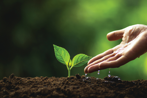 Nurture in a time of crisis | Jenny Brown