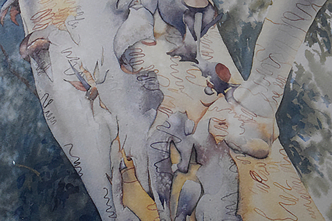 A Limner's Tale | Fiona Pfennigwerth