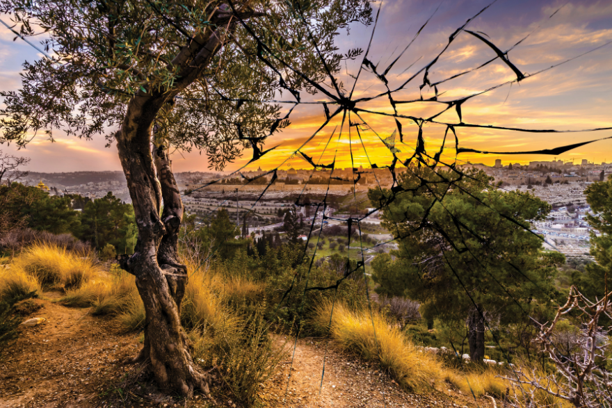 Broken dreams and the postexilic prophets | Anthony R. Petterson