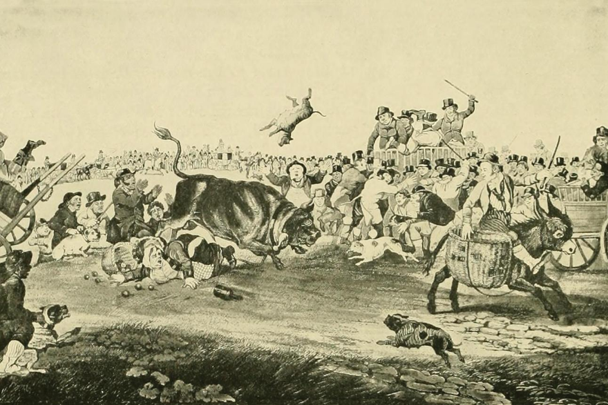 Reverend Arthur Broome and the RSPCA | Philip Johnson