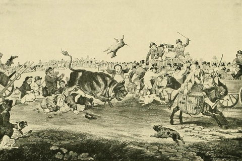 Reverend Arthur Broome and the RSPCA | Philip Johnson