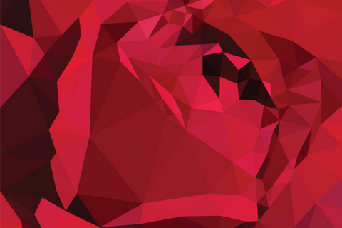 Artificial Roses | Matthew Frazer