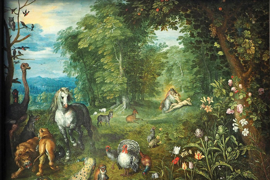 Created Images Richard Lints CASE