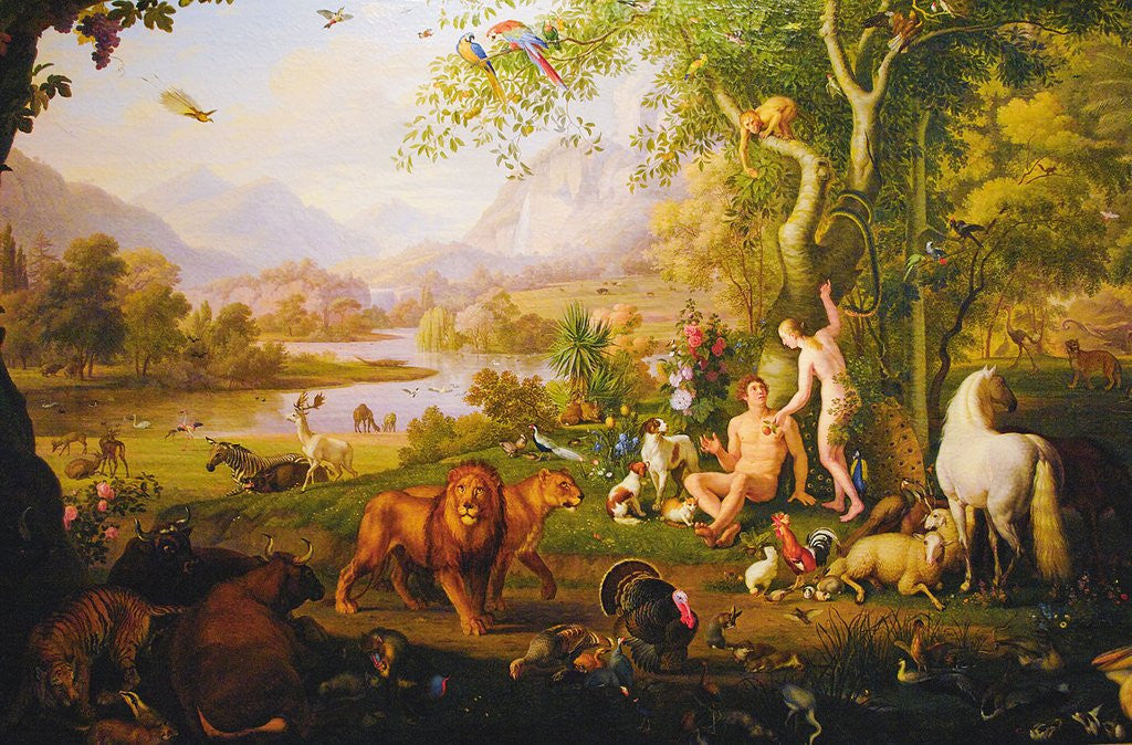 Biblical Anthropology and its Implications for the Practice of Medicine | John Dearin & Roberta Kwan