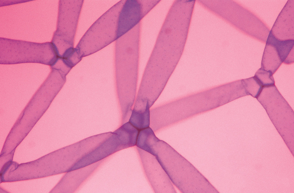 Book Review: The Disappearing Chasm Between Evangelical Faith & Science | Peter Barry