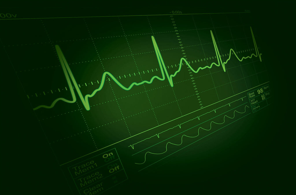 The Ethical Dilemmas of Euthanasia | Megan Best