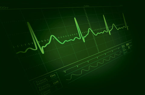 The Ethical Dilemmas of Euthanasia | Megan Best