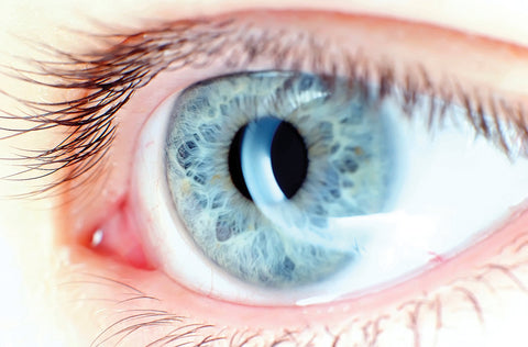 The Other: An Introduction | Matheson Russell