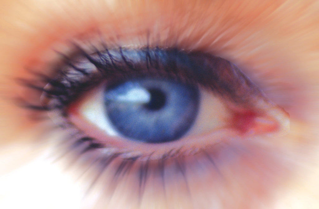 A Treatise of Hume's Nature | Kirsten Birkett