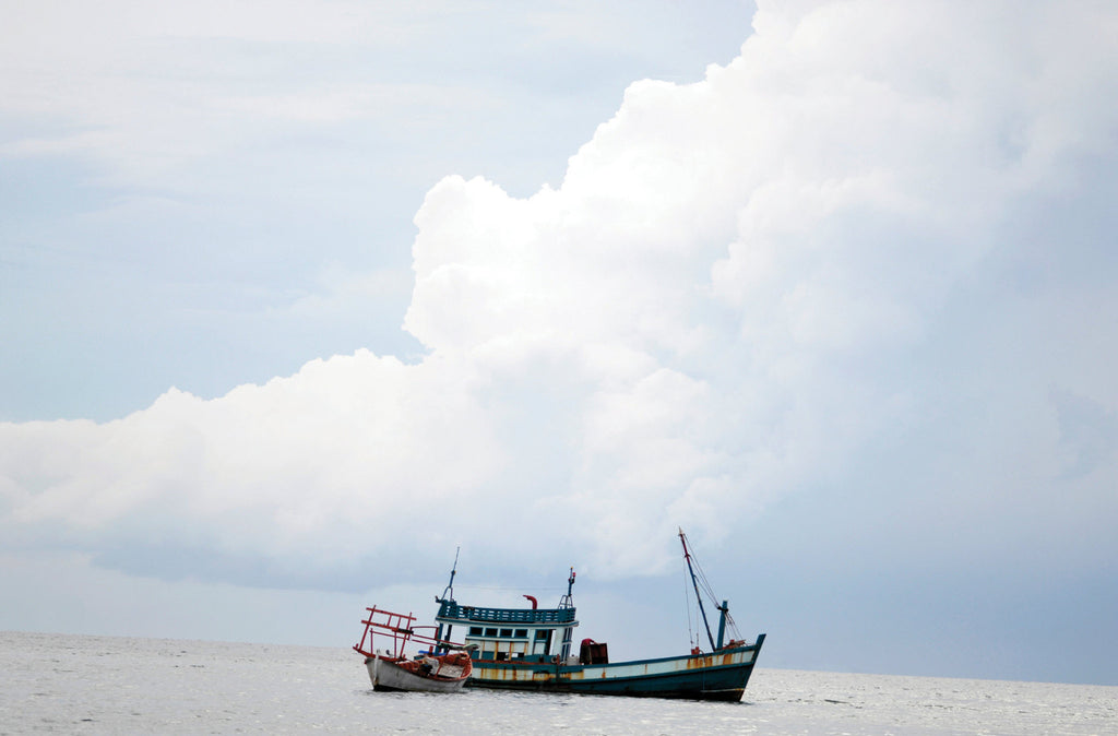 Laws of Inclusion & Strategies of Exclusion | Mark Glanville