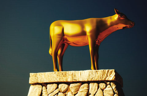 Holding our Peace? A Christian Response to Blasphemy | Dani Scarratt