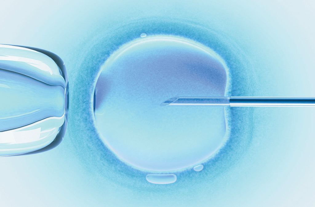 Embryo Liberation | Megan Best