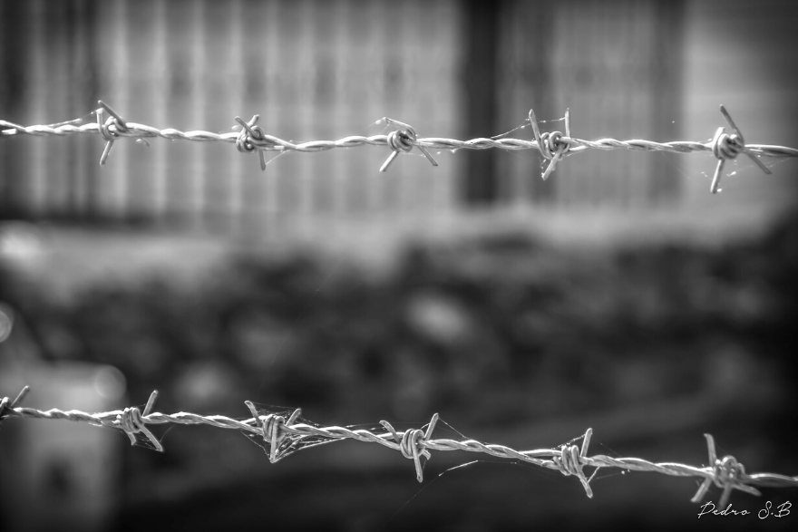 Modern Slavery Legislation | Jennifer Semple