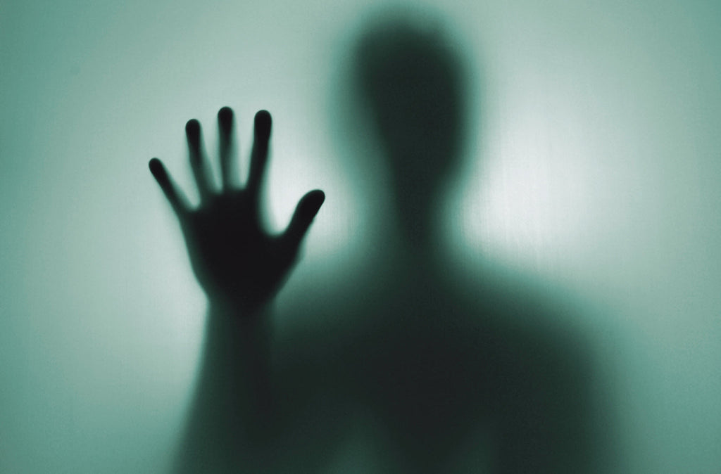 Book Review: The Freedom Paradox | Kamal Weerakoon