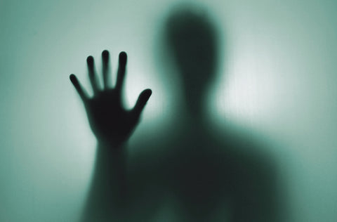 Book Review: The Freedom Paradox | Kamal Weerakoon