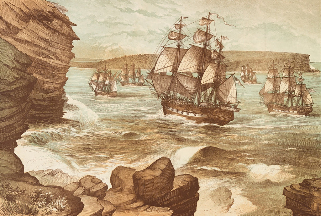 A Captive Audience | David Pettett