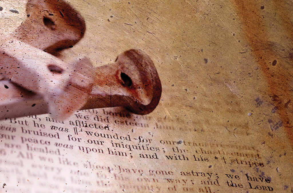 Reading the Whole Bible | David Höhne