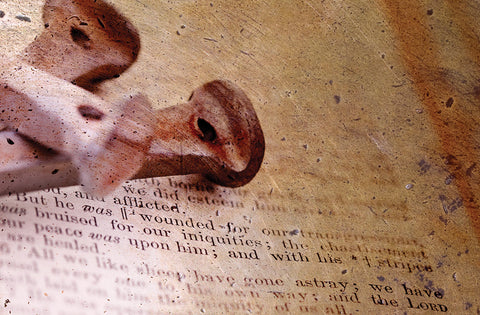 Reading the Whole Bible | David Höhne