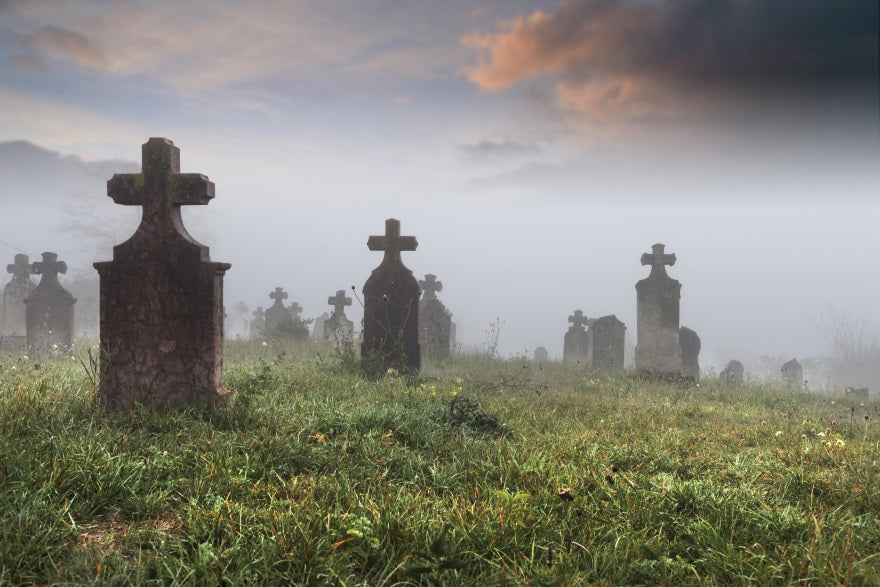 Book Review: The Human Predicament | Andrew Spalding