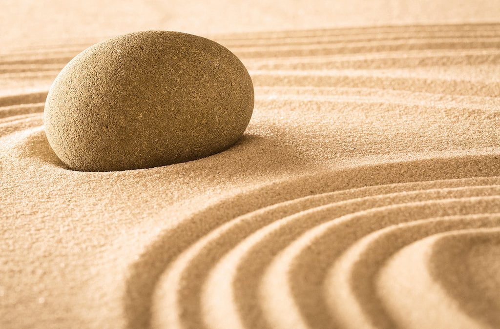 Meaning with or Without Religion? | Anna Ristevski