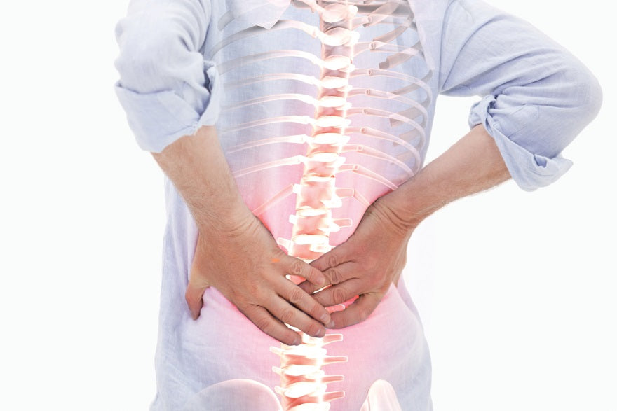 The body in the brain | Matthew K. Bagg