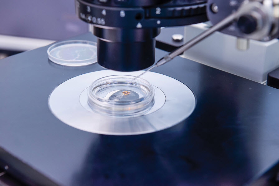 Family balancing - or vanity parenting? | Megan Best