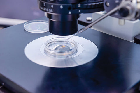 Family balancing - or vanity parenting? | Megan Best